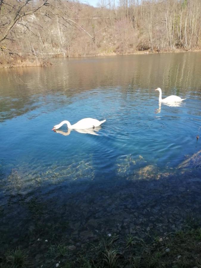 Ferienwohnung Kuca Za Odmor Braco Donji Zvecaj Exterior foto